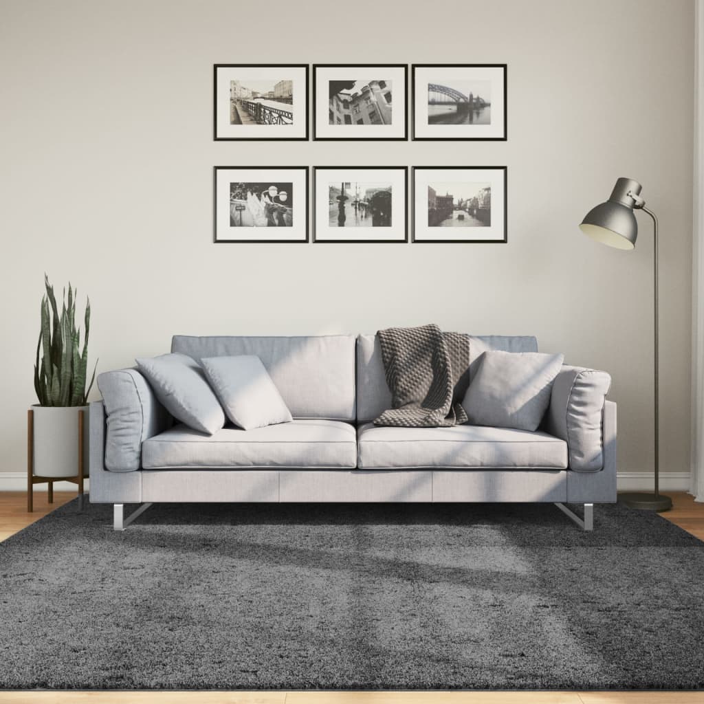 Rug OVIEDO Short Pile Anthracite 200x200 cm