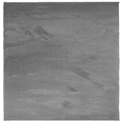 Rug OVIEDO Short Pile Anthracite 240x240 cm