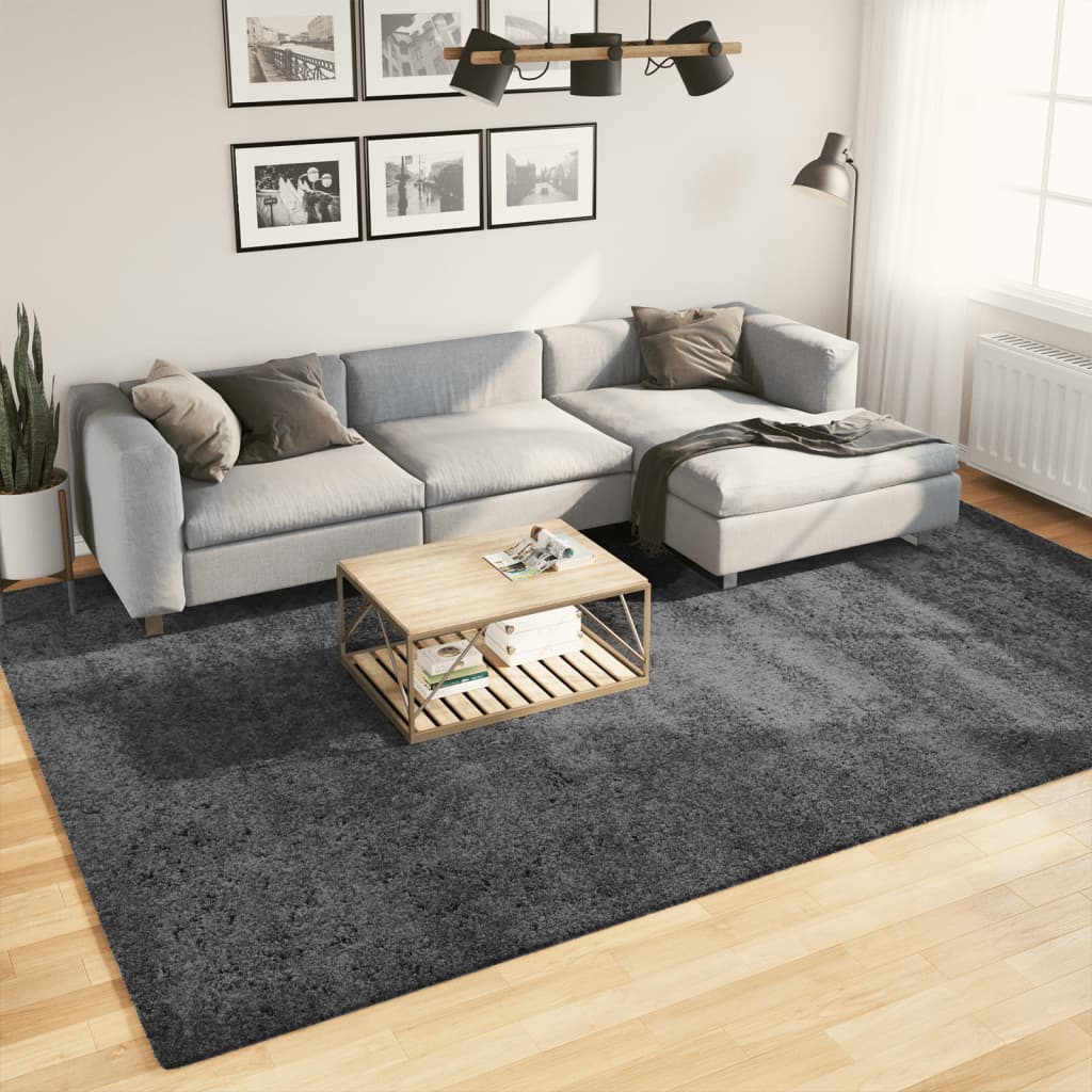 Rug OVIEDO Short Pile Anthracite 240x340 cm