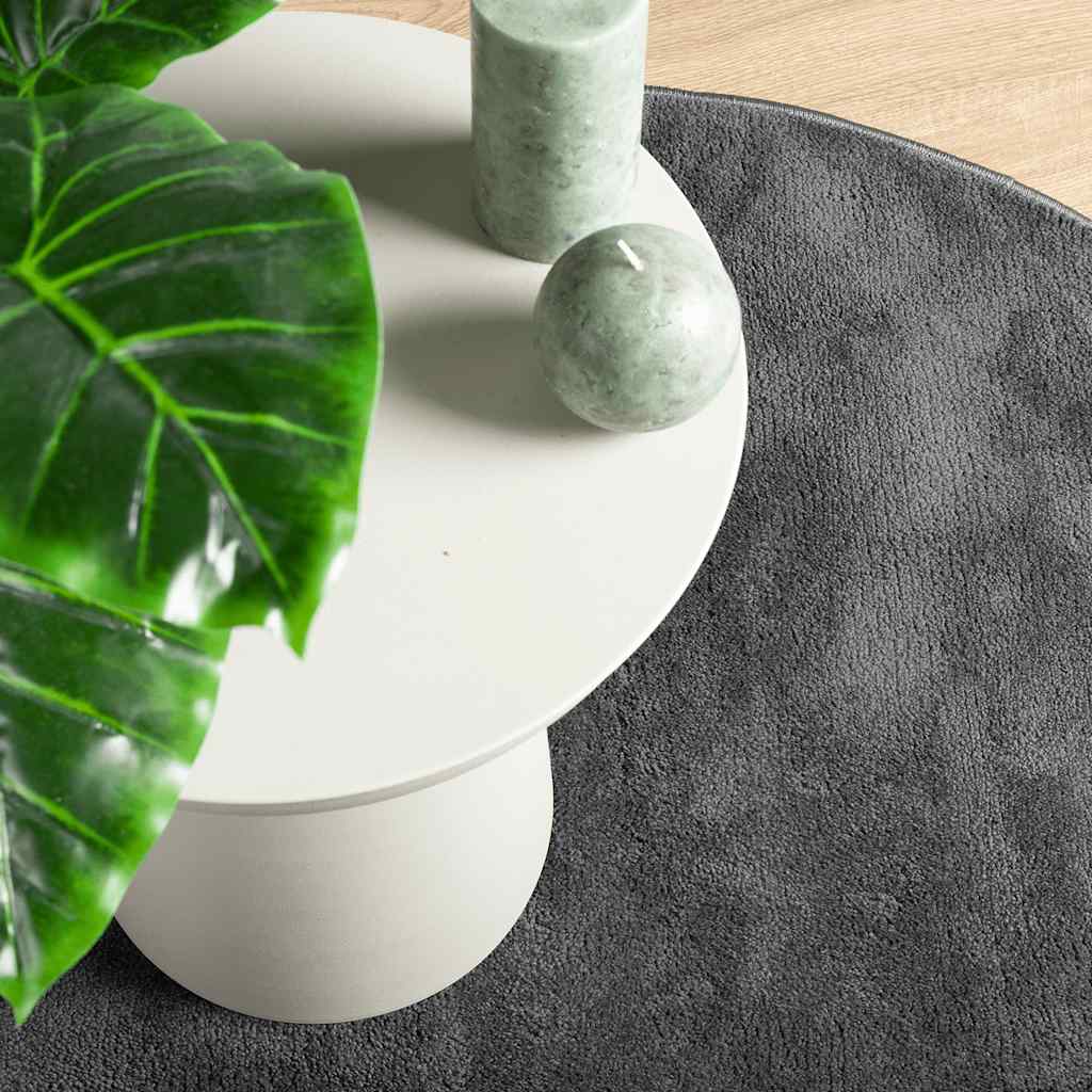 Rug OVIEDO Short Pile Anthracite Ø 200 cm