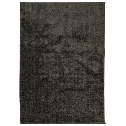 Rug ISTAN High Pile Shiny Look Anthracite 120x170 cm