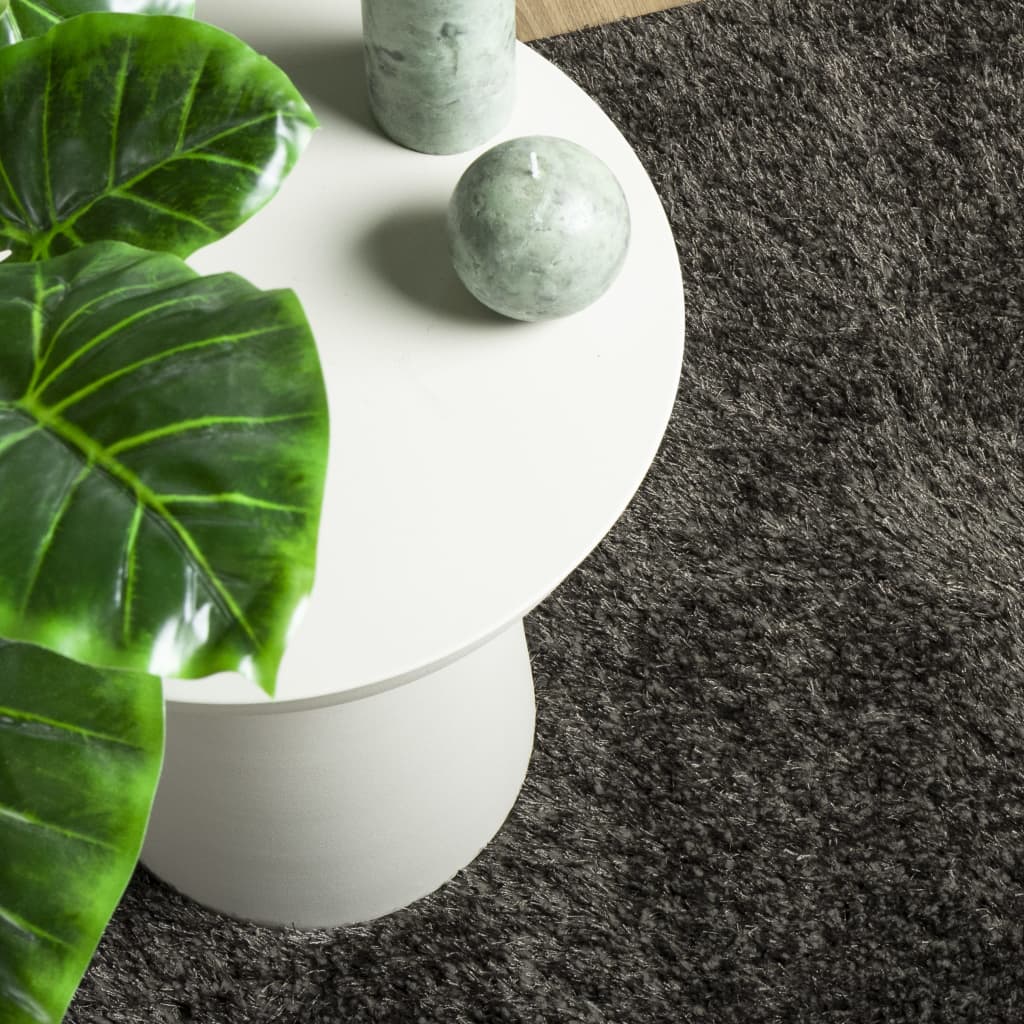 Rug ISTAN High Pile Shiny Look Anthracite 120x170 cm