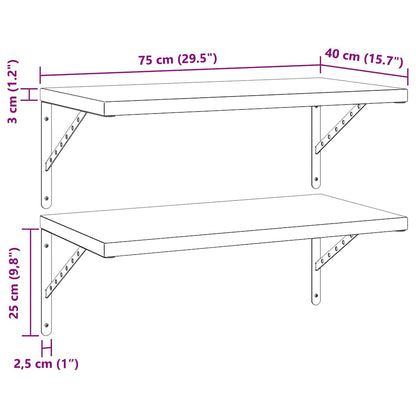 Wall Shelves 2 pcs 75x40 cm Black Stainless Steel