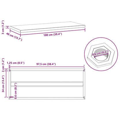Wall Shelves 2 pcs 100x40 cm Black Stainless Steel