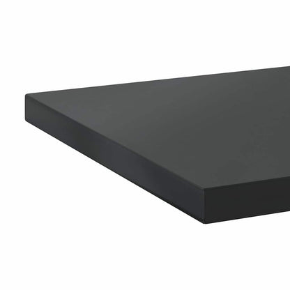 Wall Shelves 2 pcs 100x30 cm Black Stainless Steel