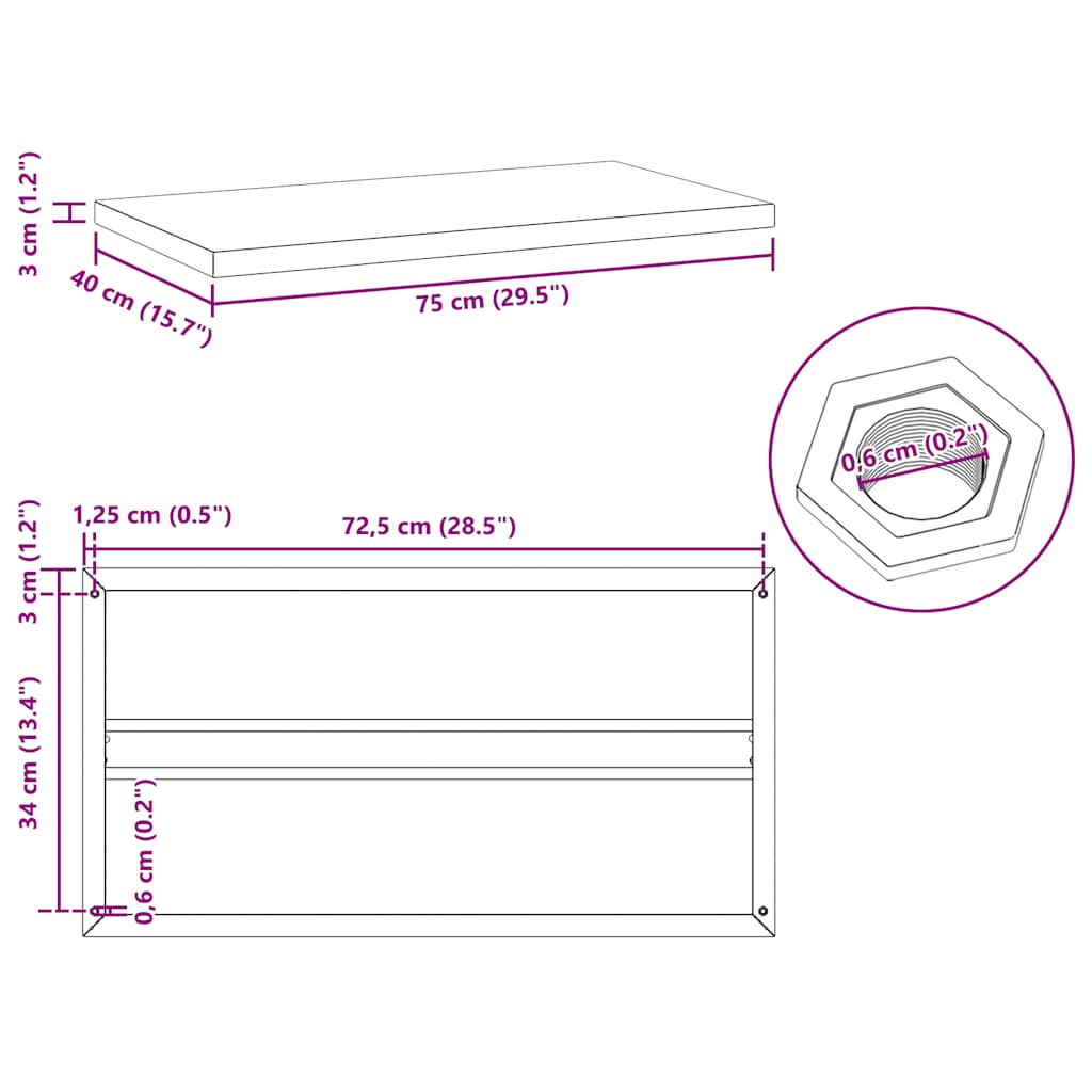 Wall Shelves 2 pcs 75x40 cm Black Stainless Steel