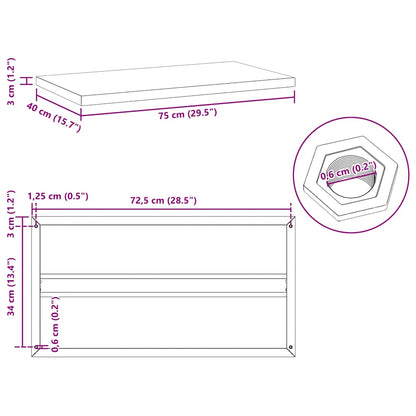 Wall Shelves 2 pcs 75x40 cm Black Stainless Steel