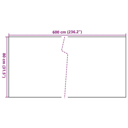 Balcony Screen Anthracite 600x80 cm Poly Rattan