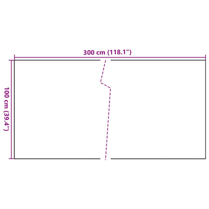 Balcony Screen Brown and Black 300x100 cm Poly Rattan