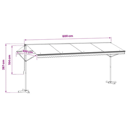 Free Standing Awning Blue and White 600x300 cm Fabric and Steel