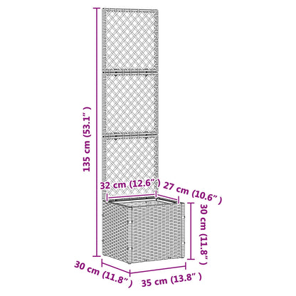 Garden Trellis Planter Black 35 x 30 x 135 cm Metal