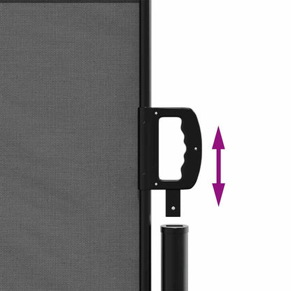 Retractable Side Awning Anthracite 100x300 cm