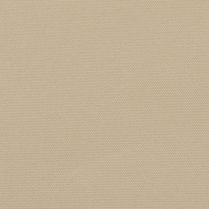 Retractable Side Awning Beige 170x300 cm