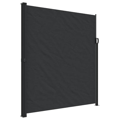 Retractable Side Awning Black 220x300 cm
