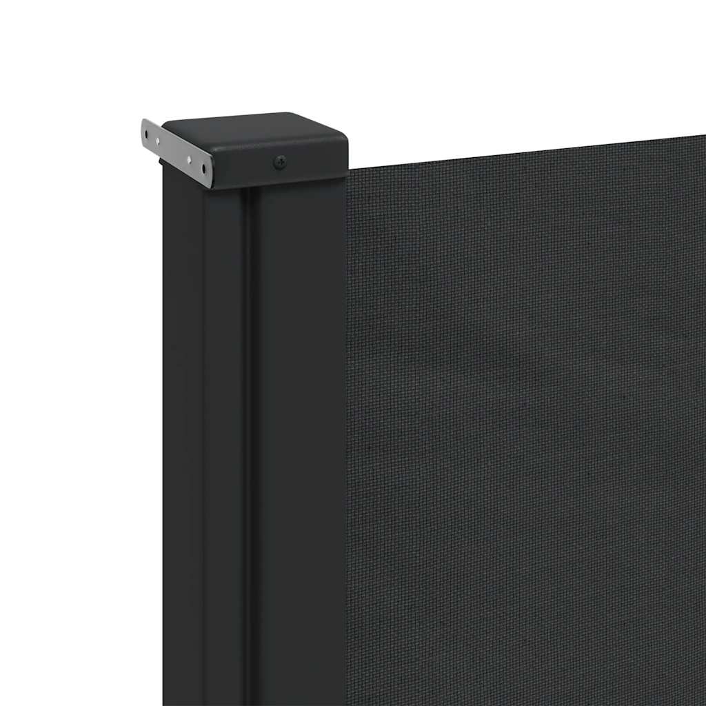 Retractable Side Awning Black 220x300 cm
