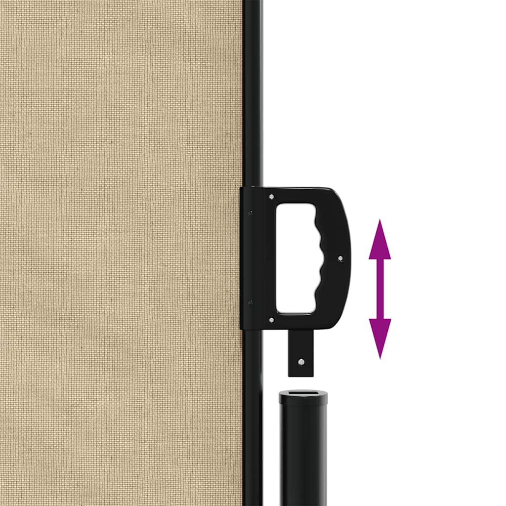 Retractable Side Awning Beige 220x300 cm