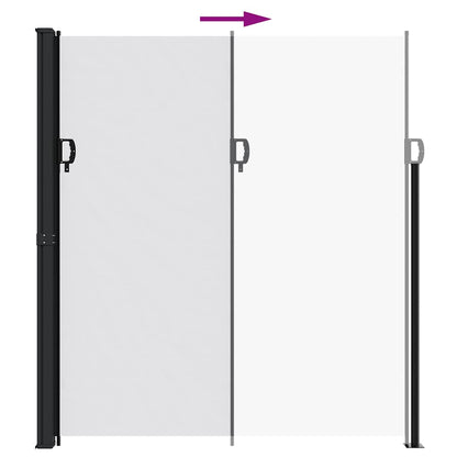 Retractable Side Awning White 220x300 cm