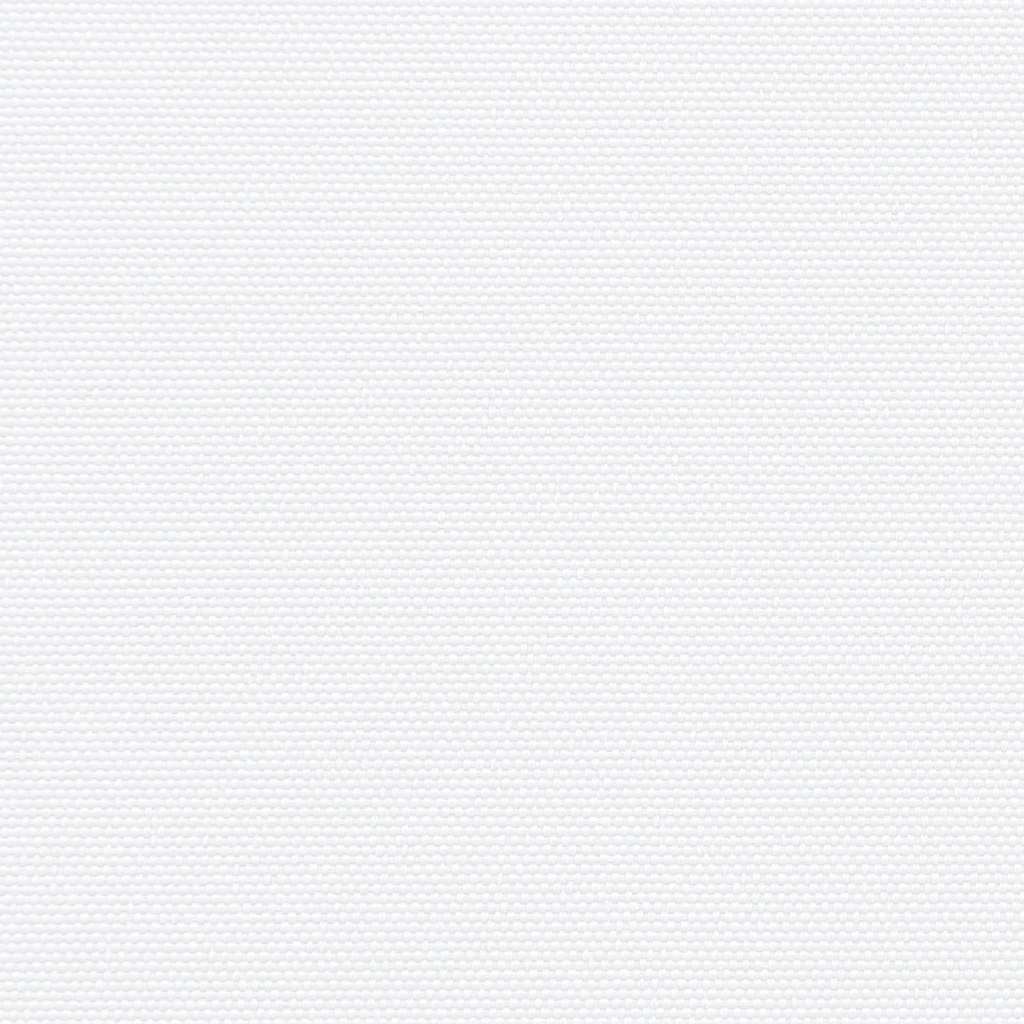 Retractable Side Awning White 120x500 cm