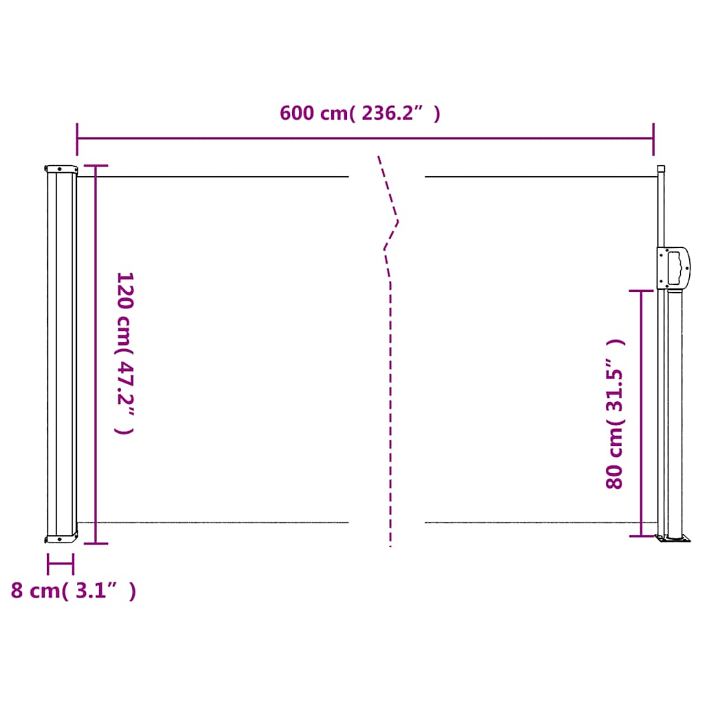 Retractable Side Awning Black 120x600 cm