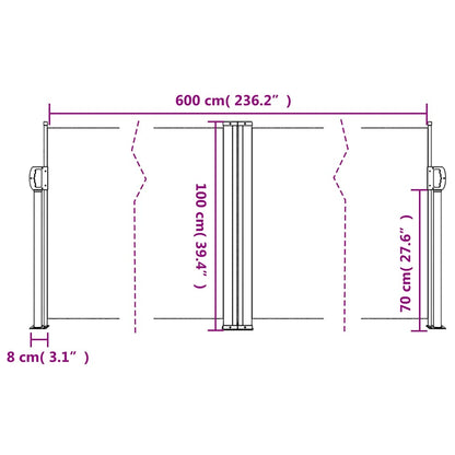 Retractable Side Awning Brown 100x600 cm