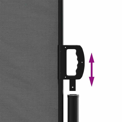Retractable Side Awning Anthracite 200x1000 cm