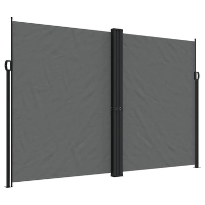 Retractable Side Awning Anthracite 220x1000 cm
