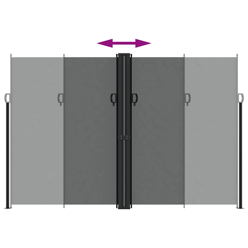 Retractable Side Awning Anthracite 220x1000 cm