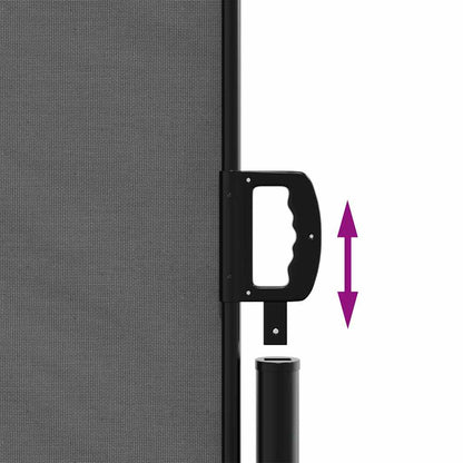 Retractable Side Awning Anthracite 220x1000 cm