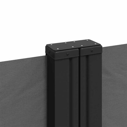 Retractable Side Awning Anthracite 220x1000 cm