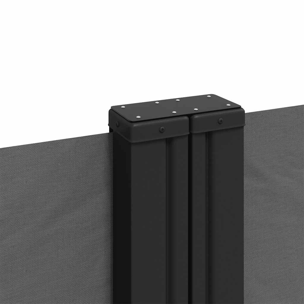 Retractable Side Awning Anthracite 220x1000 cm