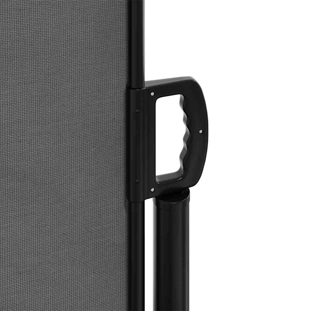 Retractable Side Awning Anthracite 220x1000 cm