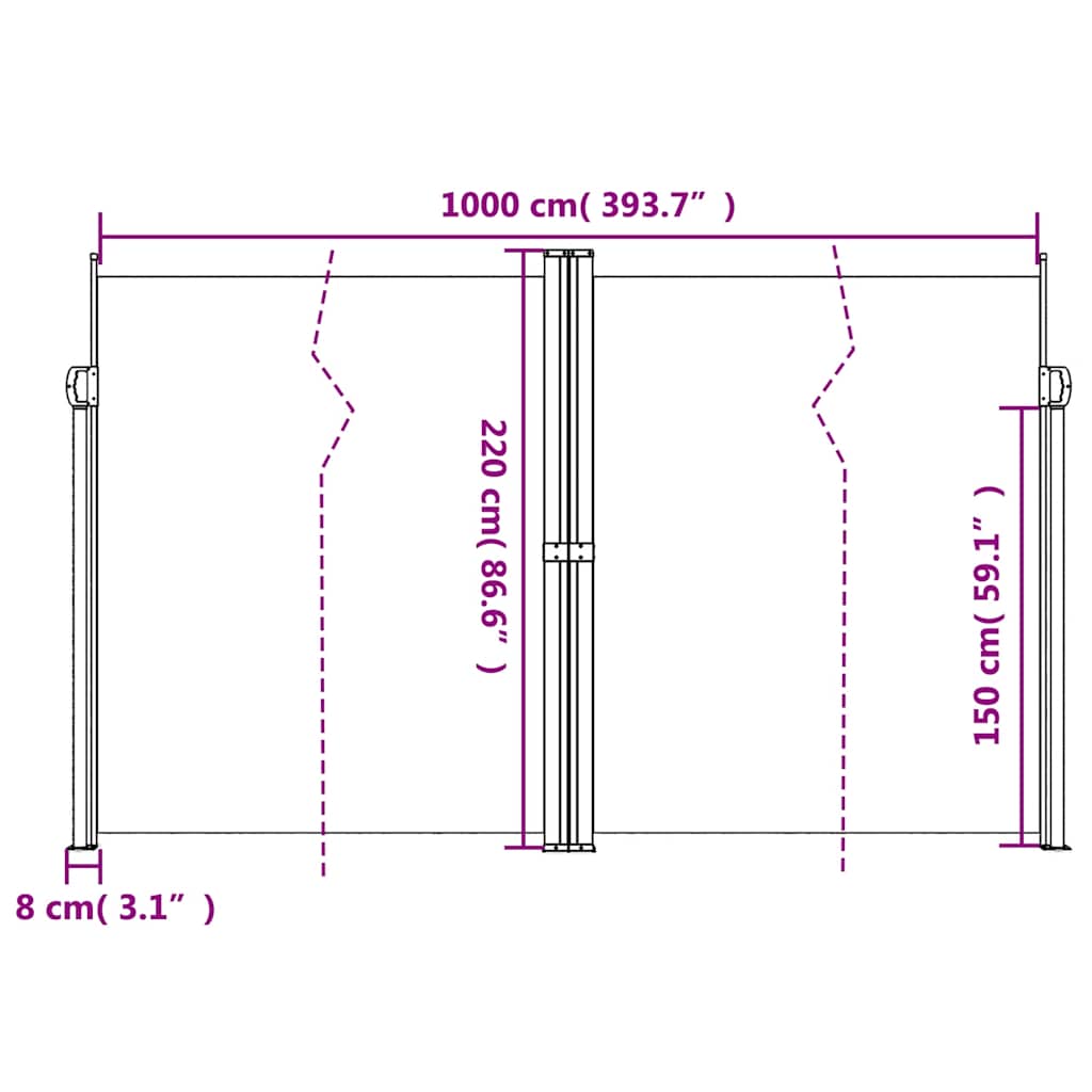 Retractable Side Awning Anthracite 220x1000 cm