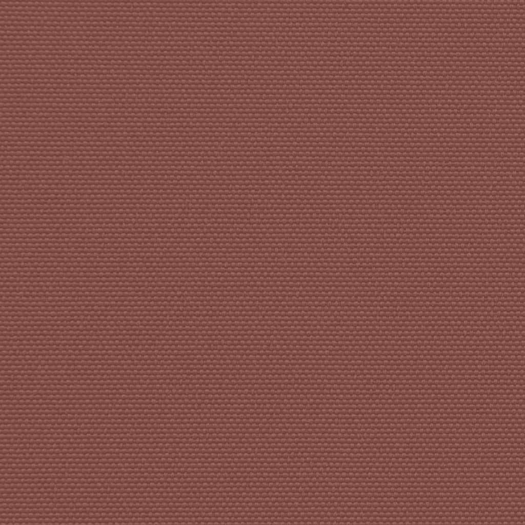 Retractable Side Awning Brown 220x1000 cm