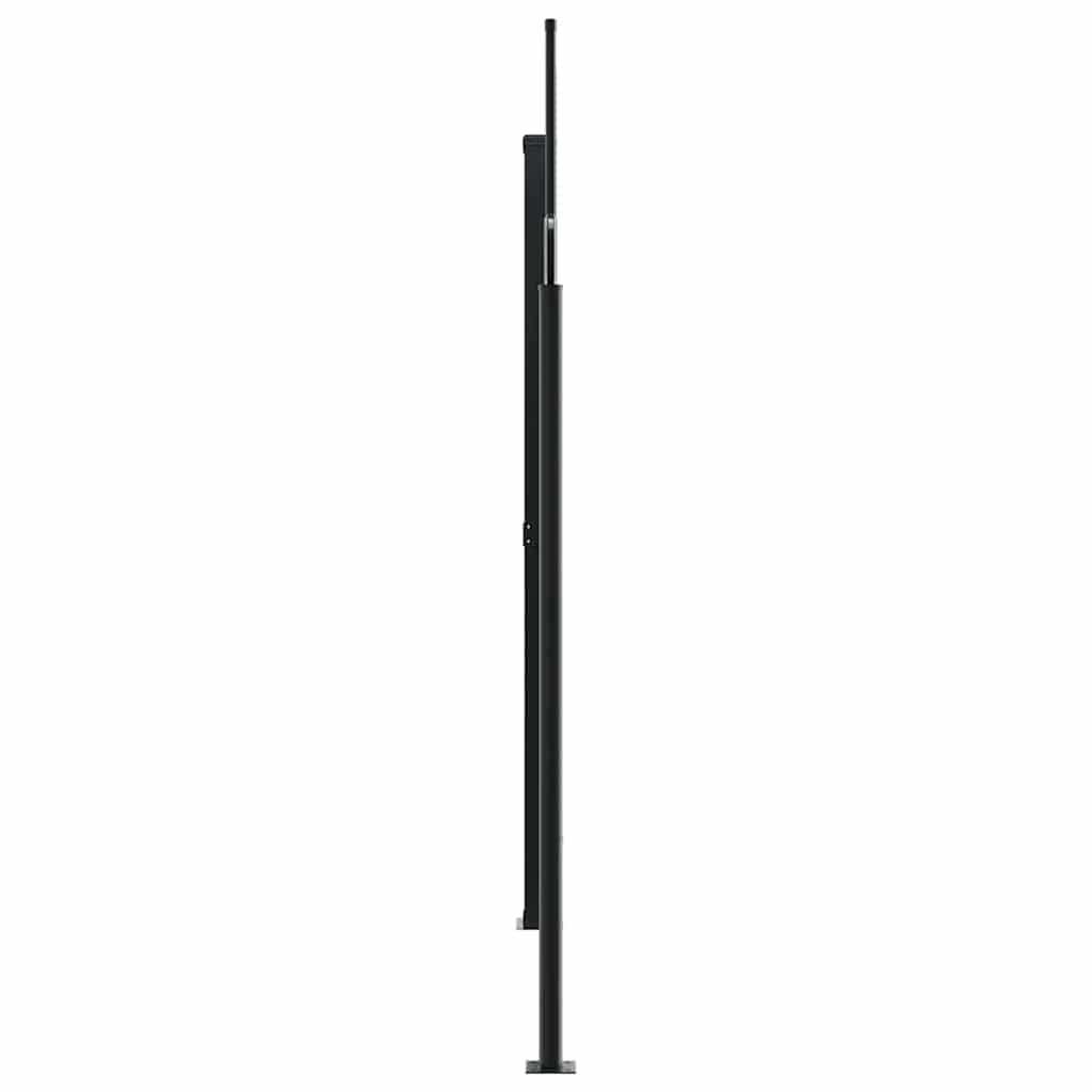 Retractable Side Awning Anthracite 220x1200 cm