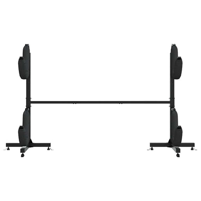 Kayak Storage Rack for 2 Kayak 250x57x127,5 cm Steel