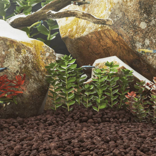 Volcanic Rocks 25 kg Red 5-8 cm