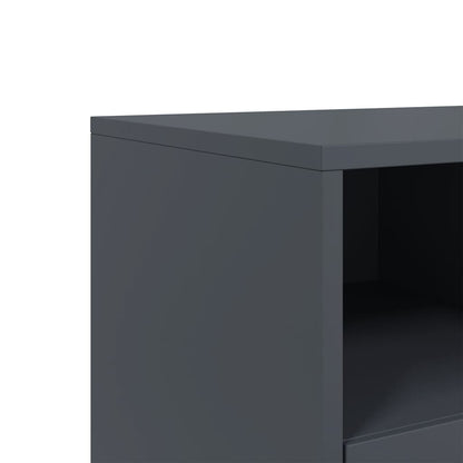 TV Cabinet Anthracite 100,5x39x60,5 cm Steel