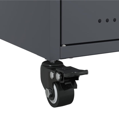 TV Cabinet Anthracite 100,5x39x43,5 cm Steel