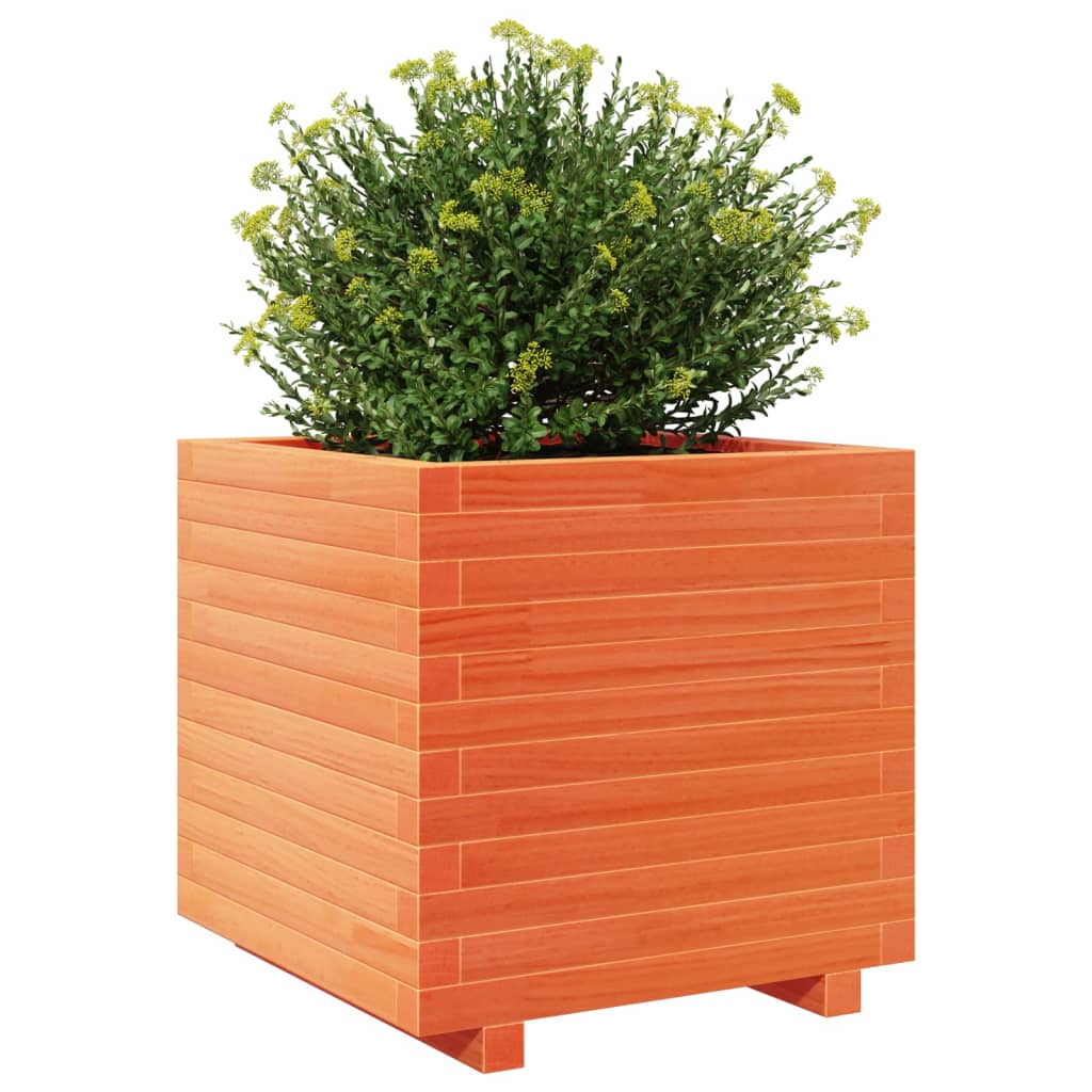 Garden Planter Wax Brown 50x50x49.5 cm Solid Wood Pine