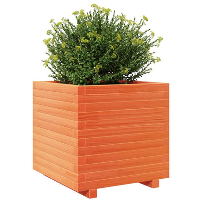Garden Planter Wax Brown 50x50x49.5 cm Solid Wood Pine