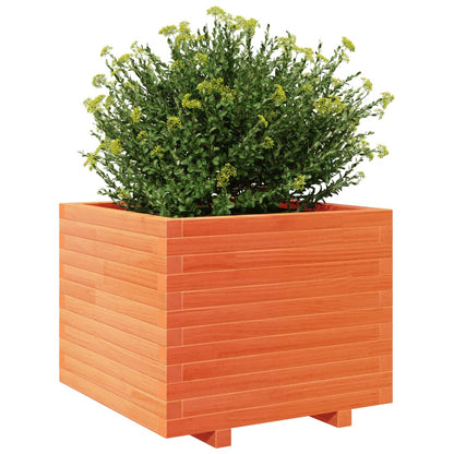 Garden Planter Wax Brown 60x60x49.5 cm Solid Wood Pine