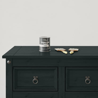 Furniture Paint Black 0.75 L Wall Print