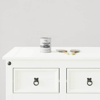Furniture Paint White 0.75 L Wall Print
