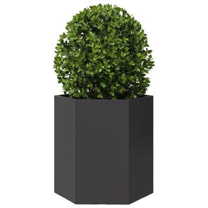 Garden Planter 2 pcs Black Hexagon 46x40x45 cm Steel