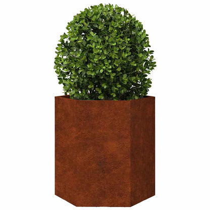Garden Planters 2 pcs Hexagon 46x40x45 cm Weathering Steel