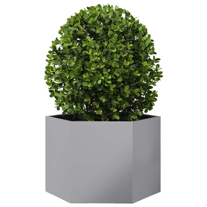 Garden Planter Hexagon 69x60x45 cm Galvanized Steel