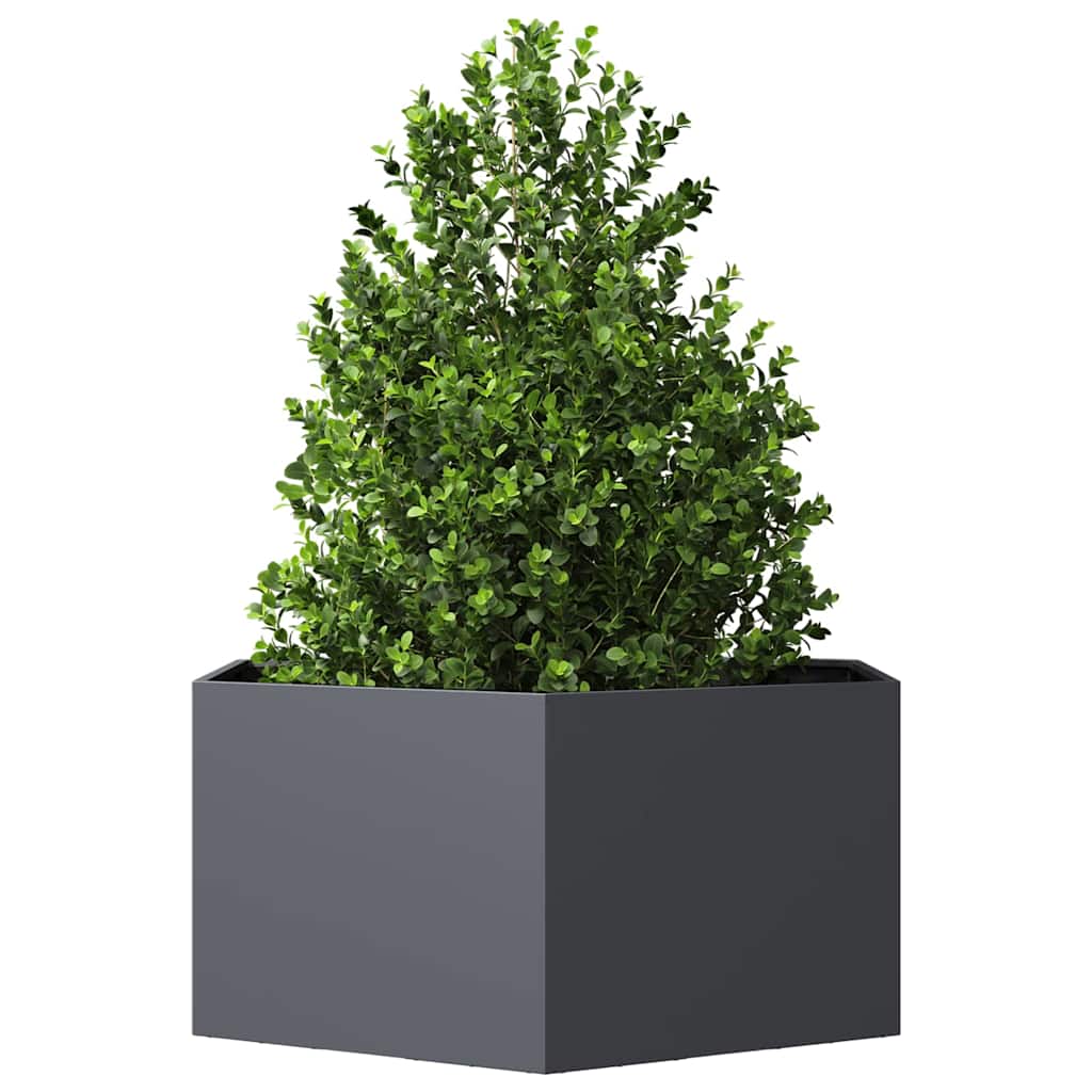 Garden Planter Anthracite Hexagon 104x90x45 cm Steel