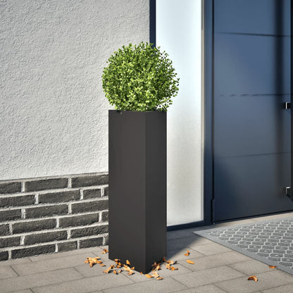 Garden Planters 2 pcs Black Triangular 30x26x75 cm Steel