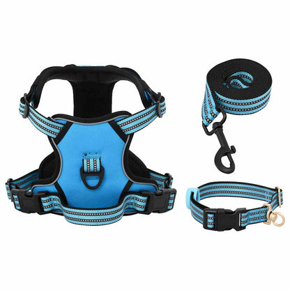 Dog Harness with Lead & Collar Adjustable Blue L