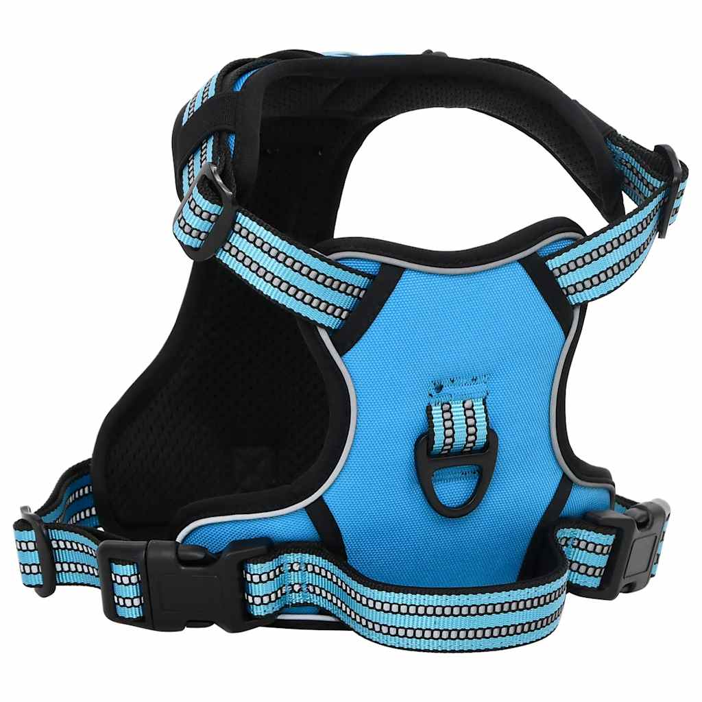 Dog Harness with Lead & Collar Adjustable Blue XL